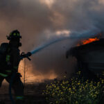 cropped-DSC08071-scaled-1.jpg